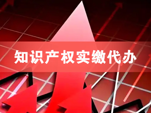 池州知识产权实缴资本代办